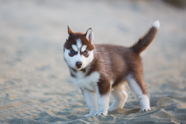 Similar image 11791529