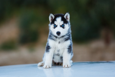 Similar image 11791535