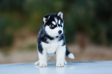 Similar image 11791536