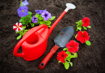 Similar image 11795523