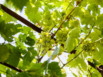 Similar image 11797873