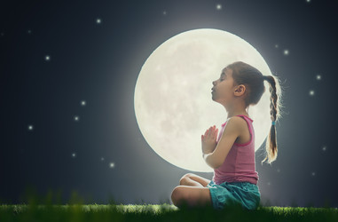 Similar image 11791569