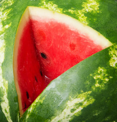 Similar image 11801470