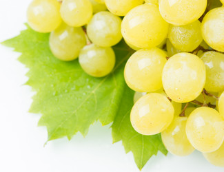 Similar image 11795475