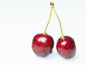 Similar image 11801497