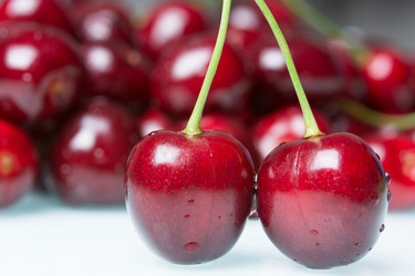 Similar image 11801499