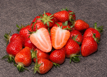 Similar image 11801510