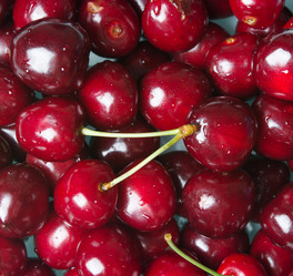 Similar image 11801521