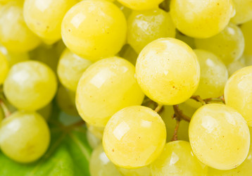 Similar image 11801523