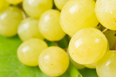 Similar image 11801524