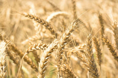 Similar image 11801487