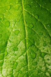 Similar image 11795454