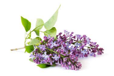 Similar image 11795477