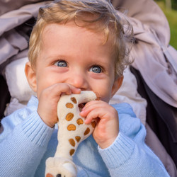 Similar image 11810448