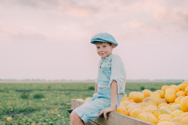 Similar image 11801256