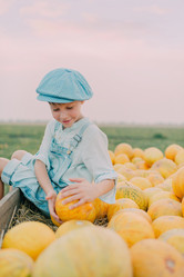 Similar image 11801257