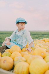 Similar image 11801258