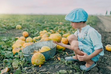 Similar image 11801261