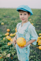 Similar image 11801263