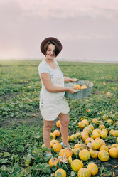 Similar image 11795533