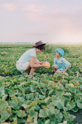 Similar image 11801281