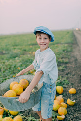 Similar image 11801283