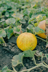 Similar image 11801284