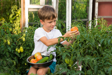 Similar image 11800886