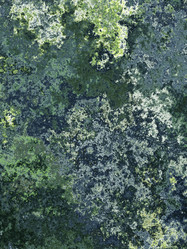 Similar image 11801077