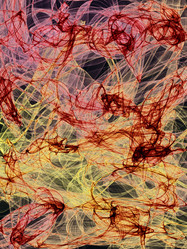 Similar image 11801078