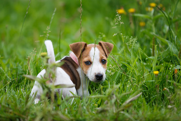 Similar image 11797108