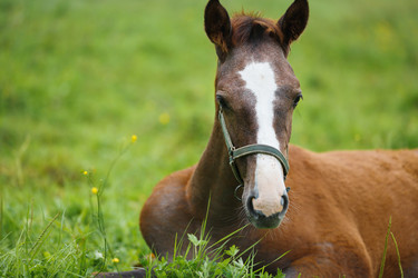 Similar image 11797113