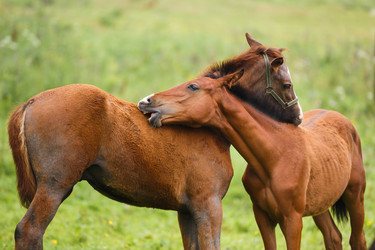 Similar image 11797116