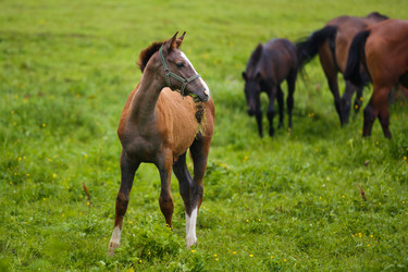 Similar image 11797119