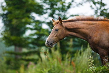 Similar image 11797120