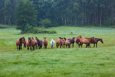 Similar image 11797151