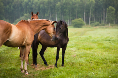 Similar image 11797154