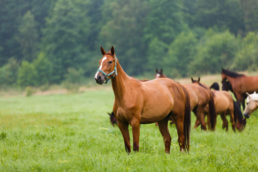 Similar image 11797156