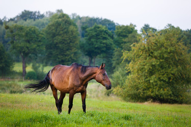 Similar image 11797157