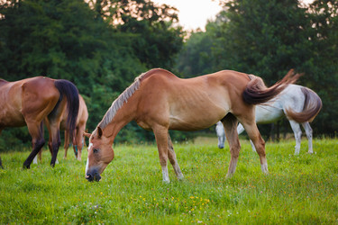 Similar image 11797158