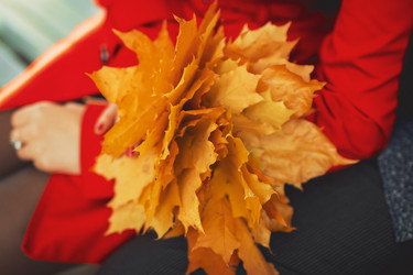 Similar image 11801065