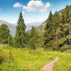 Similar image 11801139