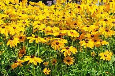 Similar image 11801143