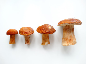 Similar image 11800911