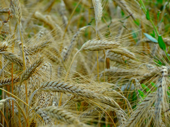 Similar image 11800913