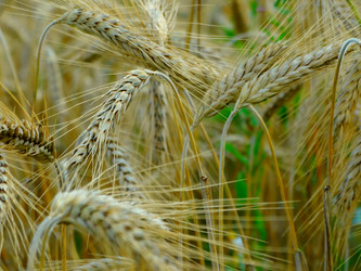 Similar image 11800915