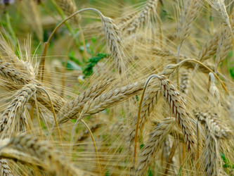 Similar image 11800916