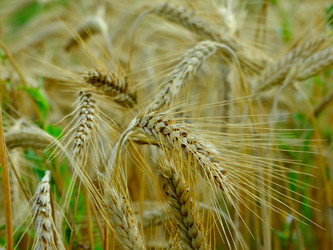 Similar image 11800917