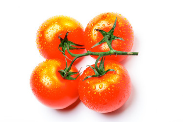 Similar image 11806270