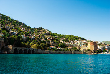 Similar image 11806460